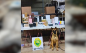 BPFRON apreende eletrônicos e perfumes em ônibus interestadual