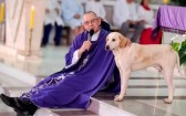 “Cãoroinha?”: cachorro vira presença nas missas e encanta fiéis no Paraná