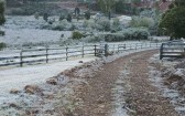 Palmas registra -3,5°C e amanhece coberta por geada nesta quarta-feira (08)