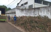 Prefeitura intensifica poda e trituração de galhos