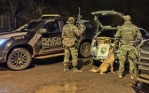 BPFRON prende homem e apreende mais de 232 quilos de maconha