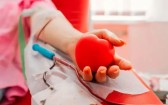 Hemonúcleo faz apelo urgente por doadores de sangue O+