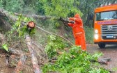 Chuvas fortes mobilizam bombeiros para atender diversas ocorrências