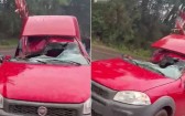 Árvore cai sobre carro durante vendaval na PR-473