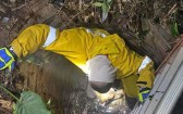 Bombeiros resgatam cachorro que caiu em poço de quatro metros