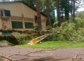 Parque de Exposições é fechado temporariamente após queda de árvores e postes