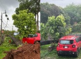 Temporal provoca grandes estragos em Francisco Beltrão e Marmeleiro