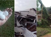 Temporal causa destelhamentos e quedas de árvores na região
