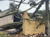 Temporais deixam mais de 1,2 mil casas destelhadas