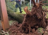 Equipes da Prefeitura seguem mobilizadas após temporal