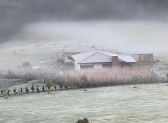 Paraná pode chegar a 1ºC e ter geadas ao longo da semana; veja previsão do tempo