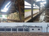 Temporal causa danos em Realeza e alerta para mais chuvas em todo o Paraná