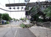 Temporal provoca muitos prejuízos em Francisco Beltrão
