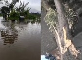 Chuvas fortes atingem 45 municípios, deixam famílias desalojadas e provocam novo tornado