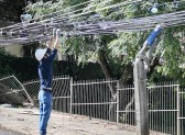 Equipes da Copel trabalham para recompor redes após temporal de domingo