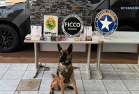 Carga milionária de iPhones é apreendida em fundo falso de caminhão no Paraná