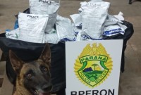 PM prende mulher e apreende 94 kg de agrotóxicos em ação conjunta 