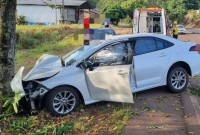 Carro sai da pista e bate contra árvore no interior