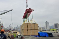 Exportações de compensado de Palmas voltam a reagir após derrubada do tarifaço dos EUA