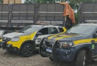 Carreta com 480 mil maços de cigarros contrabandeados é apreendida em União da Vitória