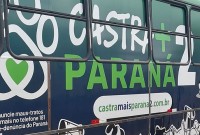 Município recebe programa Castra + Paraná com 480 vagas gratuitas