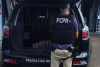 Polícia Civil prende homens por furto e receptação de portas de alumínio