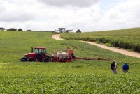 Adapar orienta produtores sobre ampliação no calendário de plantio da soja