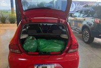 PRF flagra motoristas transportando mais de 120kg de drogas, no Paraná