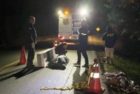 Homem morre atropelado na BR-163 em Santo Antonio do Sudoeste