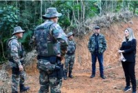 Mais de 280 hectares recebem multas de R$ 2,7 milhões por desmatamento ilegal da Mata Atlântica