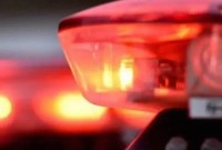 Veículo é apreendido com 308 garrafas de vinho em operação conjunta