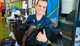 Mutirão do programa Castra + Paraná realiza cerca de 220 castrações em Santa Izabel do Oeste