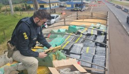 PRF apreende, no Paraná, a maior quantidade de maconha do ano em rodovias federais