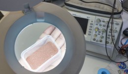 Startup incubada no Tecpar desenvolve tecnologia que pode reduzir em até 30% o custo de medicamentos