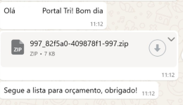Vírus se espalha sozinho pelo WhatsApp no Brasil