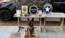 Carga milionária de iPhones é apreendida em fundo falso de caminhão no Paraná