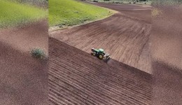 Palmas é destaque em novas tendências na produção de batatas