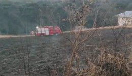 Bituca de cigarro pode ter causado incêndio de grandes proporções