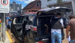 PCPR e PMPR prendem suspeitos por roubo ocorrido em Palmas