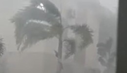 Temporal com granizo e ventos causa danos