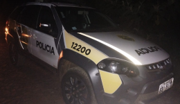 Quatro pés de maconha são apreendidos em área embargada