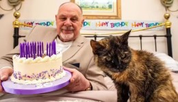 Gata de 31 anos pode se tornar a mais velha do mundo após rotina de cuidados especiais