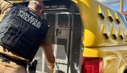 Grupo é preso em Chopinzinho por uso de documentos falsos em tentativa de golpe na Caixa Econômica Federal