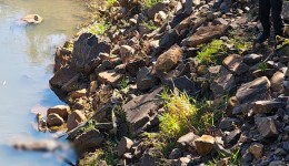 Corpo é encontrado em avançado estado de decomposição no Rio Marrecas