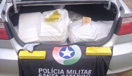 Casal é preso com quase 200 quilos de maconha em motel
