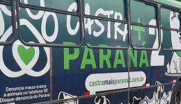 Município recebe programa Castra + Paraná com 480 vagas gratuitas