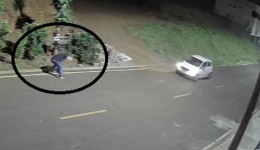 Flagrante de maus-tratos a animais causa revolta e indignação