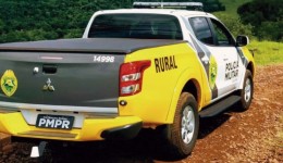 Patrulha Rural registra furtos de bovinos em propriedades rurais 