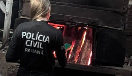 Polícia Civil incinera quase 14 quilos de drogas apreendidas