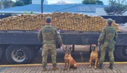 BPFRON e Polícia Federal apreendem 550 quilos de maconha e causam prejuízo de R$ 2 milhões ao crime